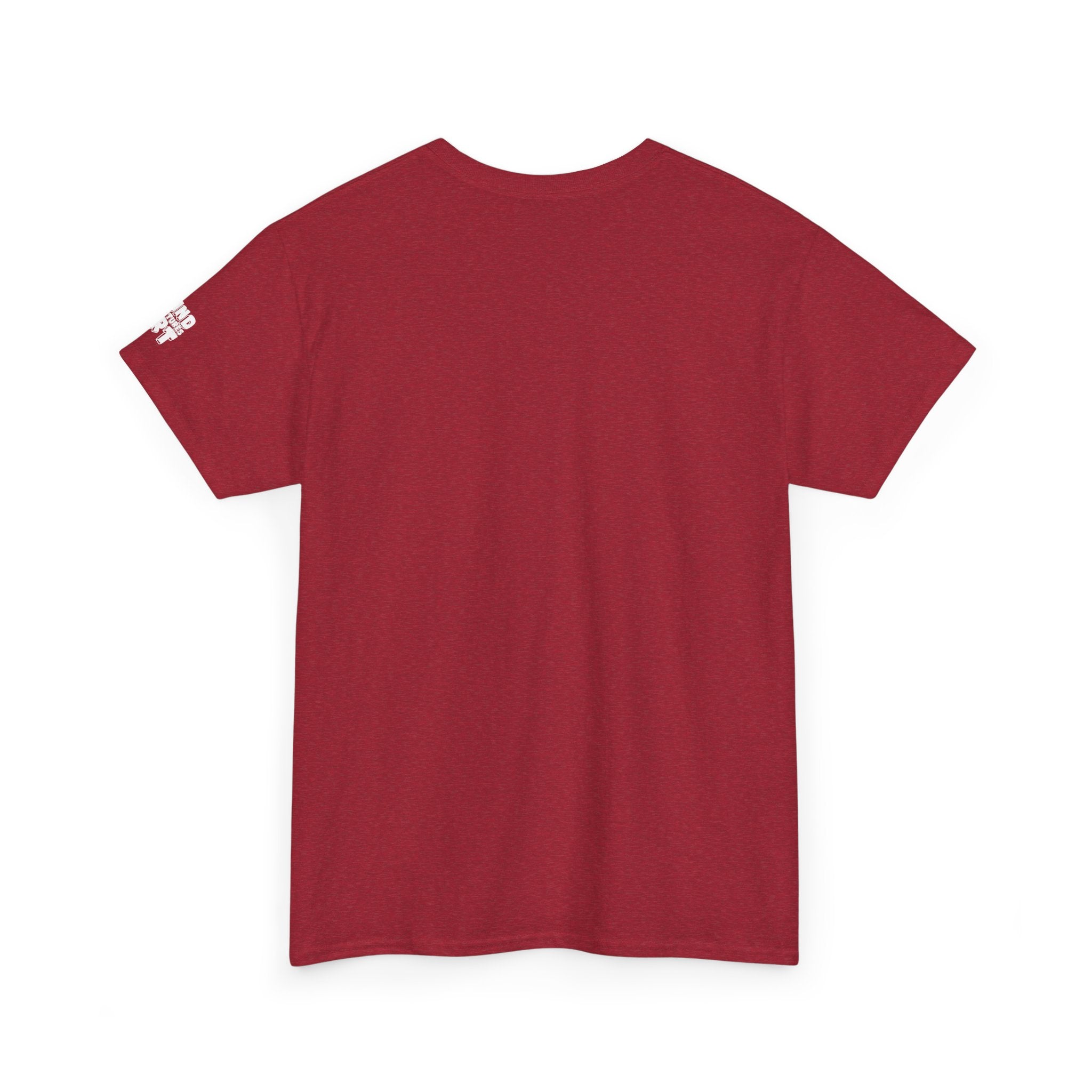 Entonomaly Unisex Heavy Cotton Tee